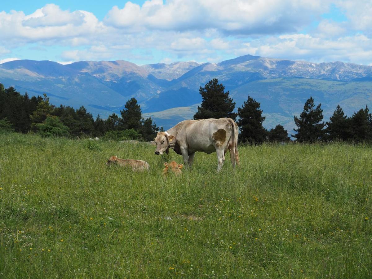 Apartament A La Molina, Grans Vistes, Llar De Foc La Molina  Extérieur photo